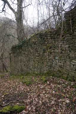 Hownes Gill Incline 4 © DCC 12/11/2021